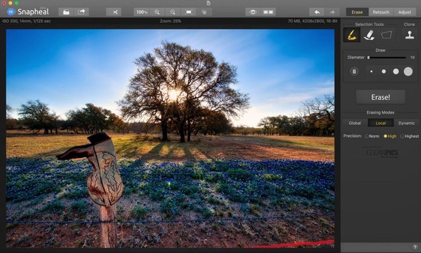 Blooming season: Capturing Spring’s Spirit Image14