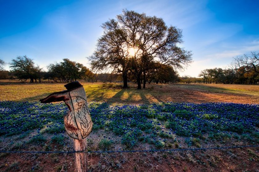 Blooming season: Capturing Spring’s Spirit Image15