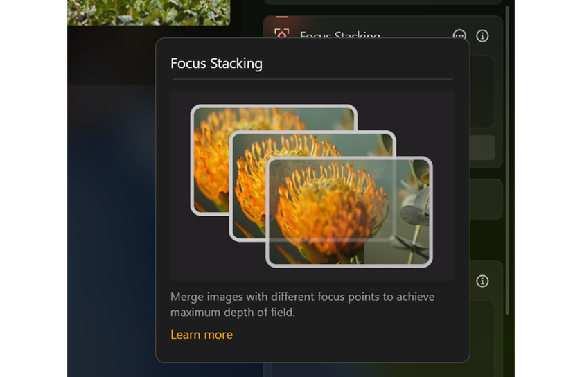 Focus Stacking in Luminar Neo | Skylum Blog