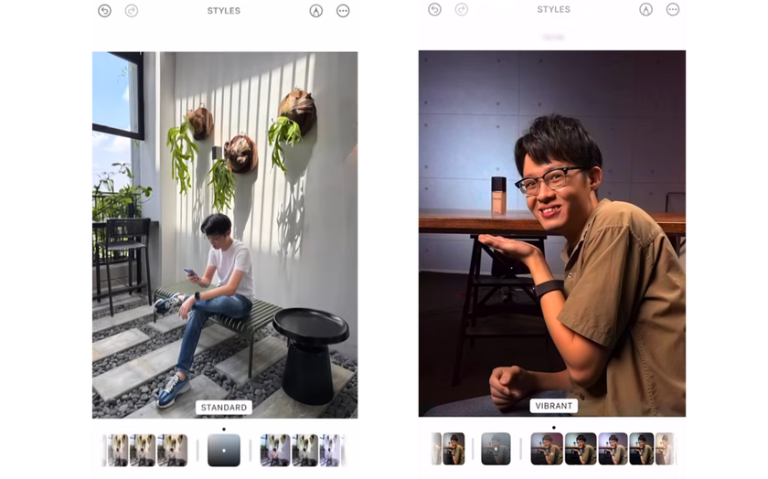 Vibrant and Standard styles for Portraits and People | Skylum Blog