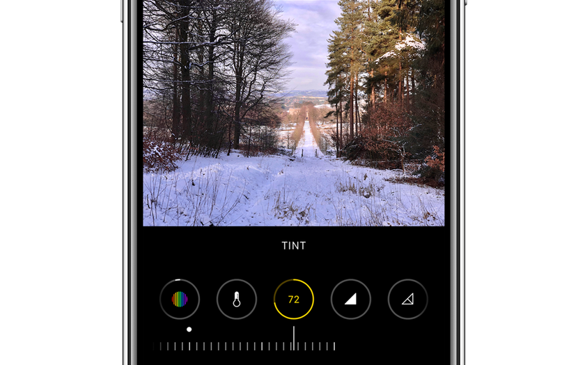 Tint on the iPhone photo | Skylum Blog