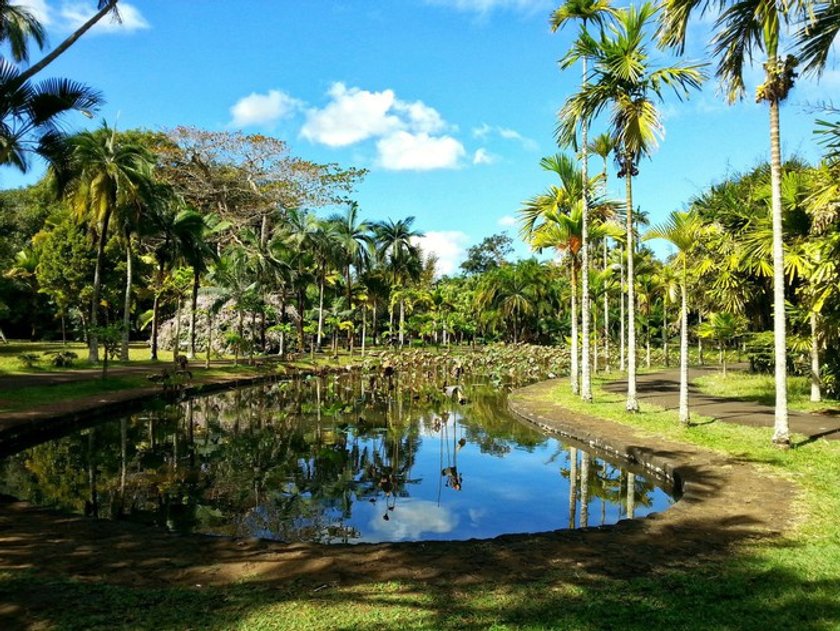 The World Through an HDR Lens: Mauritius Image5