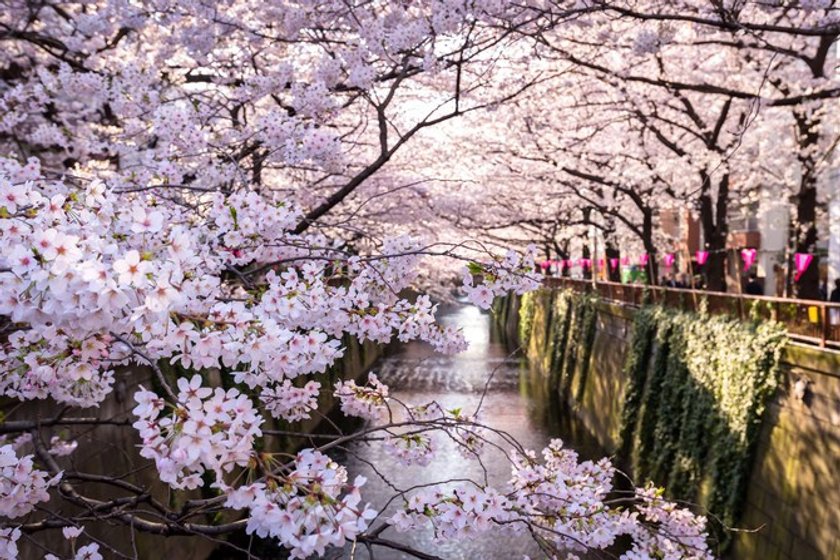 Here are a few amazing photos of Japan by Sean Pavone that were made with Aurora HDR Pro.(4)
