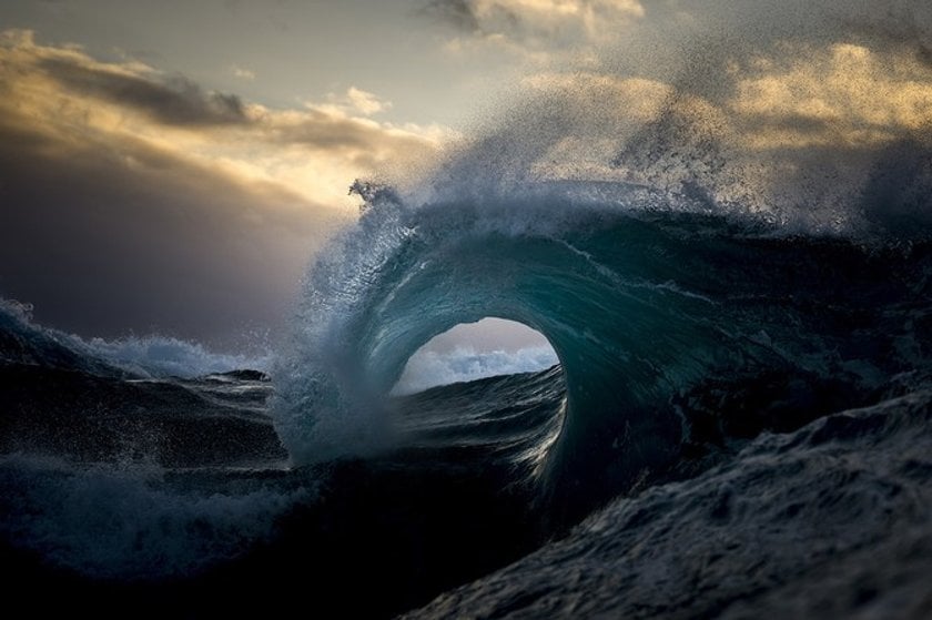 Interview with Ray Collins: Beauty and Powers of the Ocean(8)