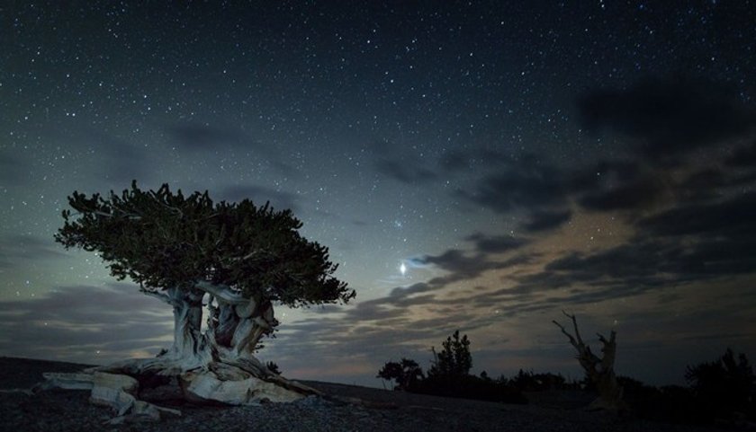 10 best places for stargazing | Skylum Blog(2)