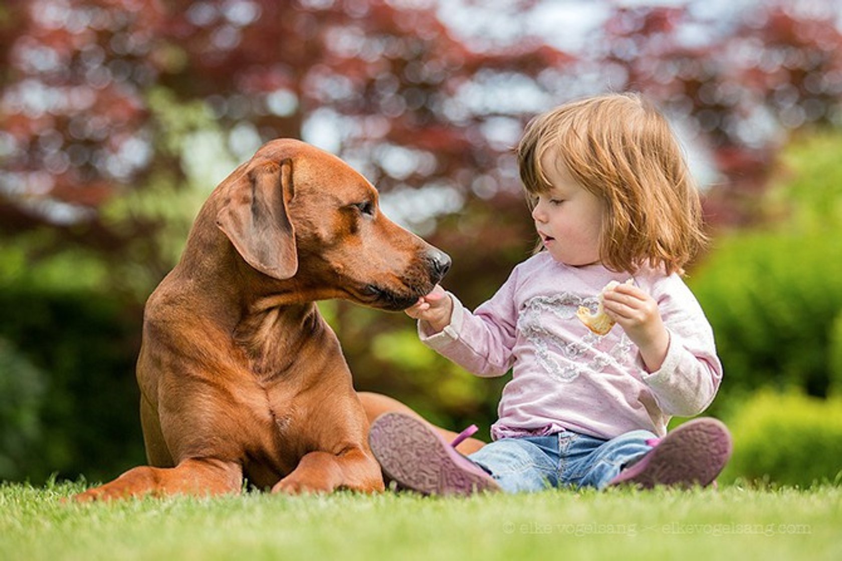 Interview: Elke Vogelsang and her pet friends | Skylum Blog