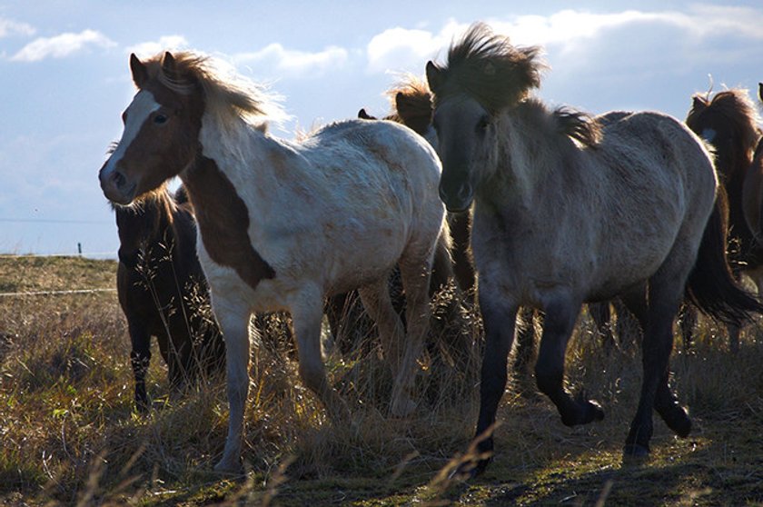 Iceland Photo Adventure | Skylum Blog(4)