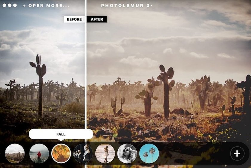 Produits Topaz Labs et Meilleures Alternatives de Retouche Photo | Skylum Blog(7)