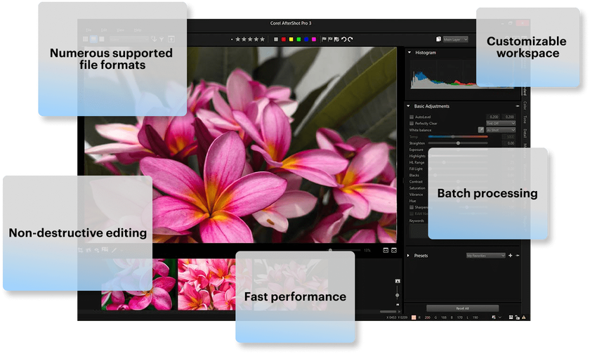 AfterShot Pro 3 Review: Key Features, Workflow & Alternatives | Skylum Blog(2)