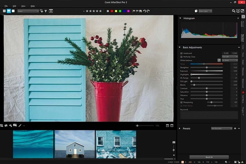 AfterShot Pro 3 Review: Key Features, Workflow & Alternatives | Skylum Blog(4)