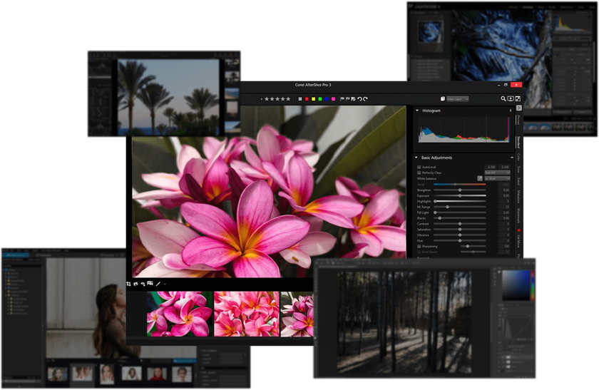 AfterShot Pro 3 Review: Key Features, Workflow & Alternatives | Skylum Blog(6)