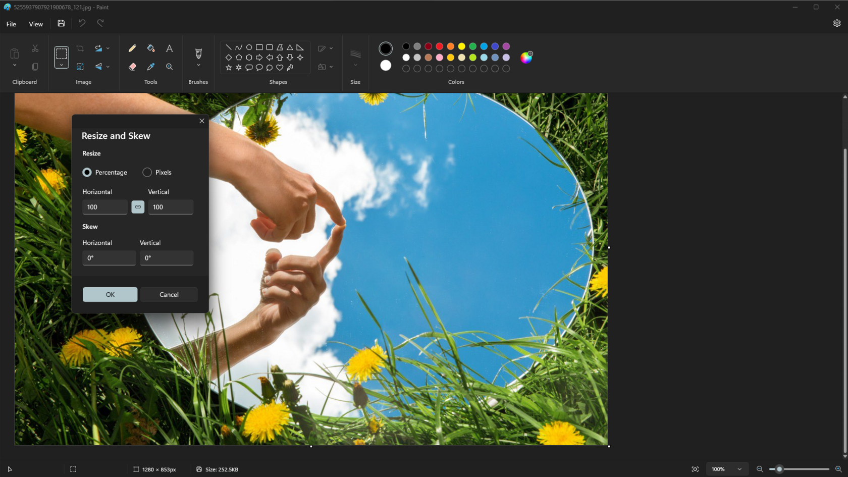 Resizing Images – MC Professional