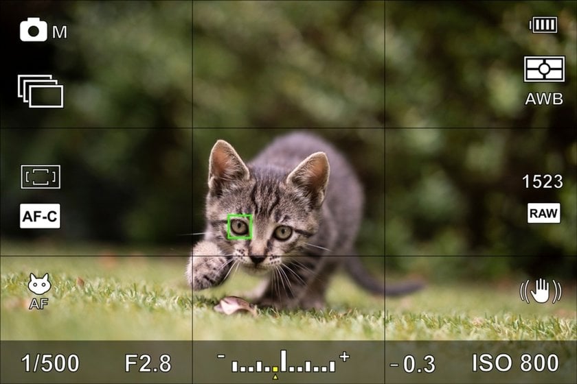 Screenshot of camera with settings | Skylum Blog