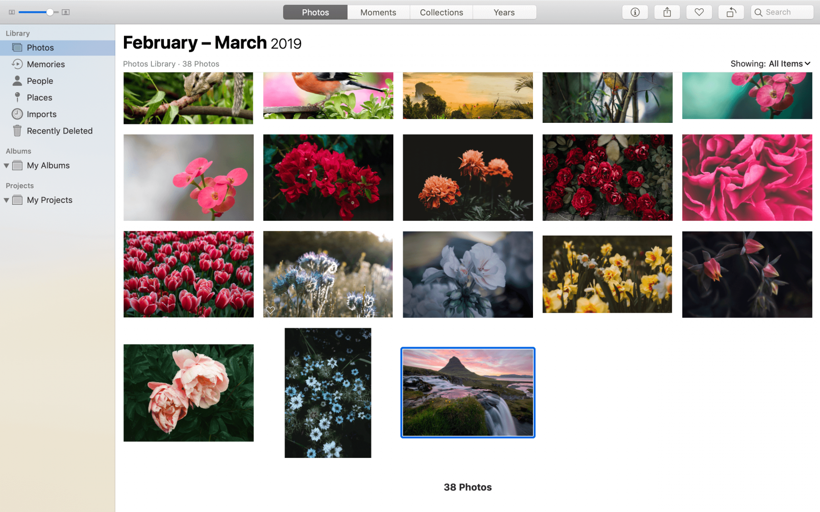 Mac photo editor tools