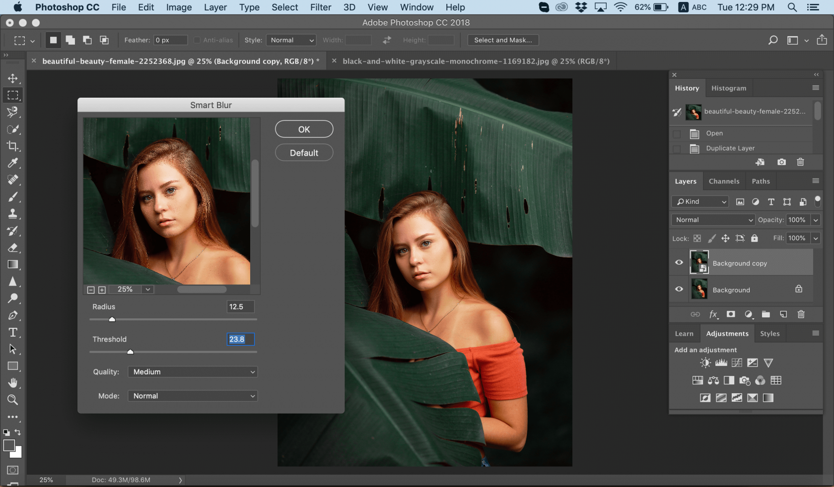 How to Blur a Picture Image4