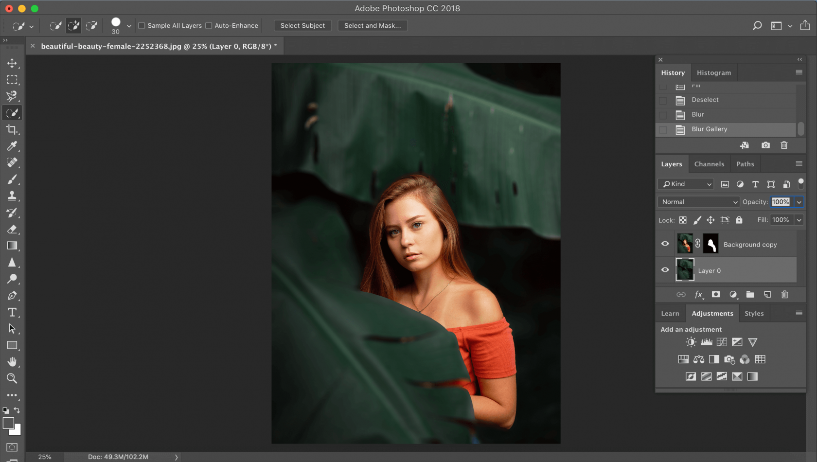 How to Blur a Picture Image20
