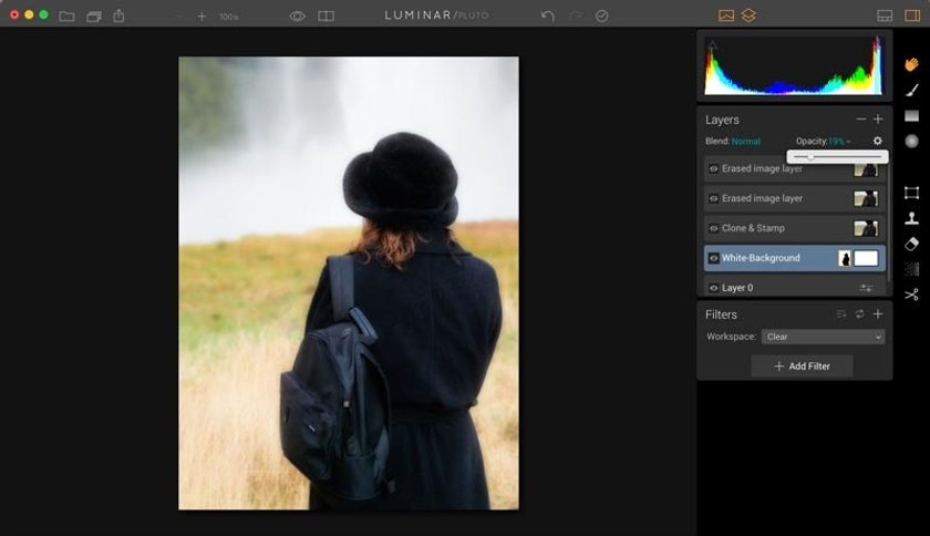 How to Remove the Background of a Picture Image7