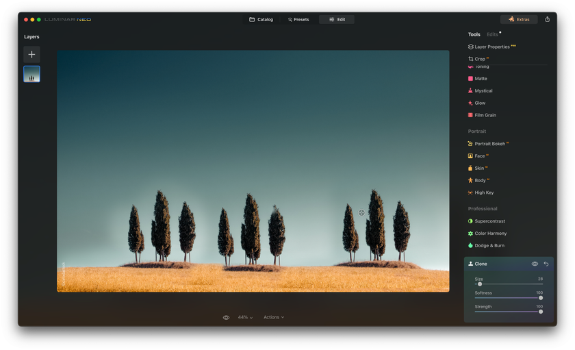 How to Use the Clone Stamp Tool in Photoshop and Luminar Neo for Mac Image4