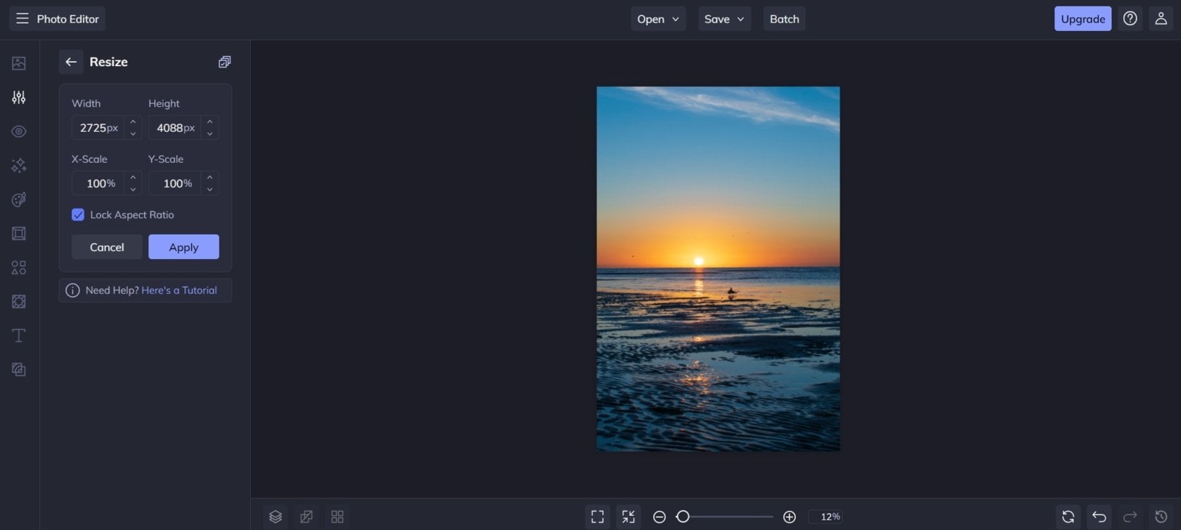 How To Make A Picture Smaller on your Windows PC or Mac | Skylum How-to