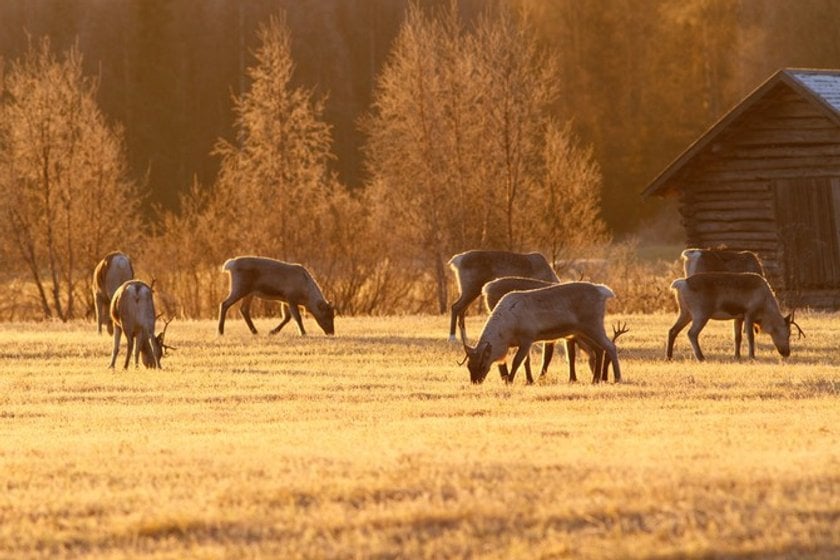 How to make stunning Golden Hour photos | Skylum Blog(2)