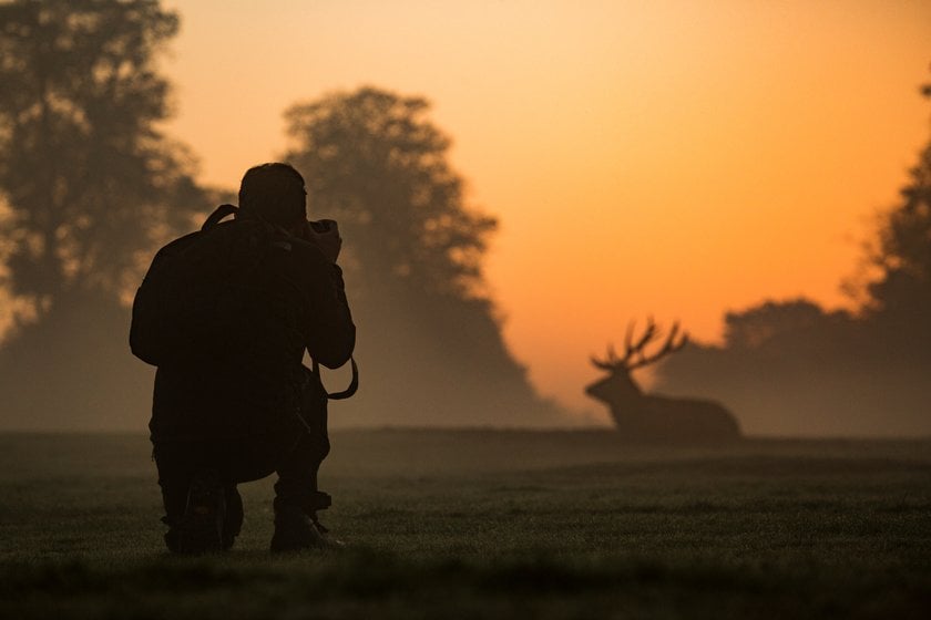 How Becoming a Wildlife Photographer: Insights on Career Prospects Image5