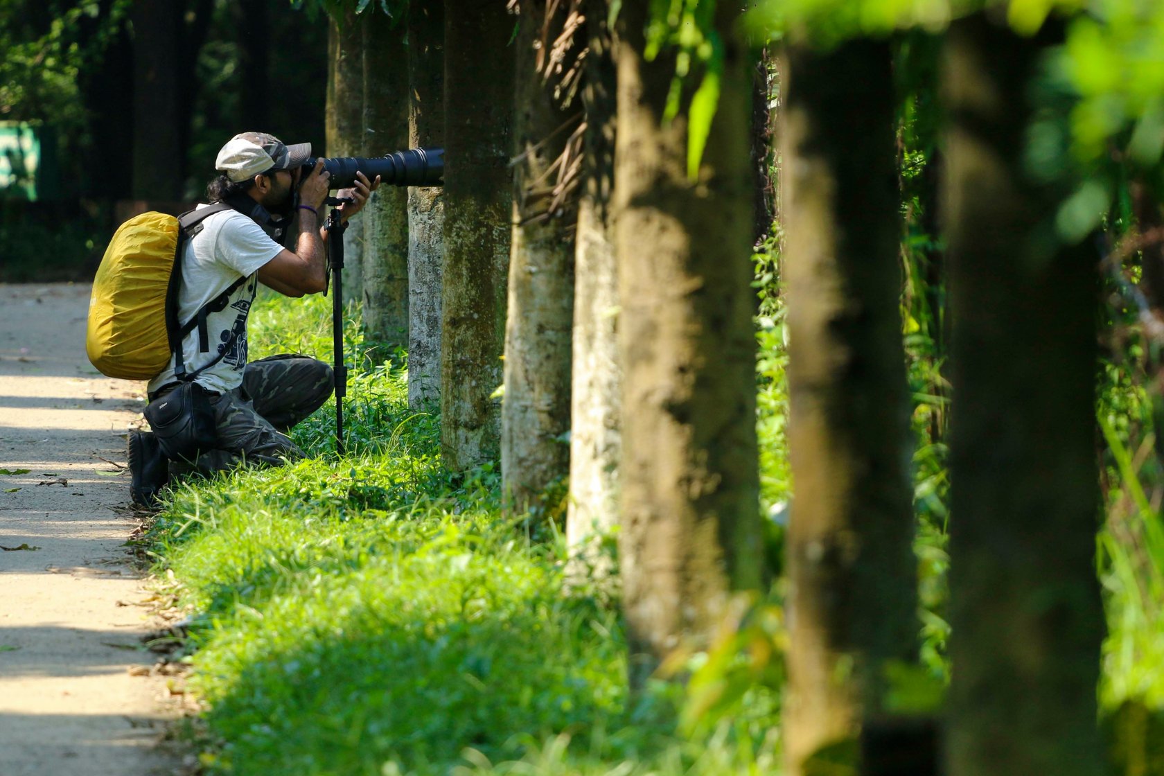 Wildlife Photographer: Career Profile & Salary