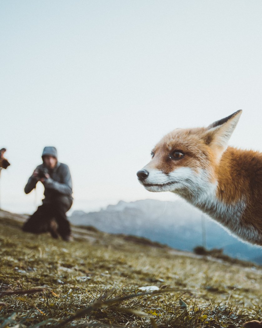 How Becoming a Wildlife Photographer: Insights on Career Prospects Image11