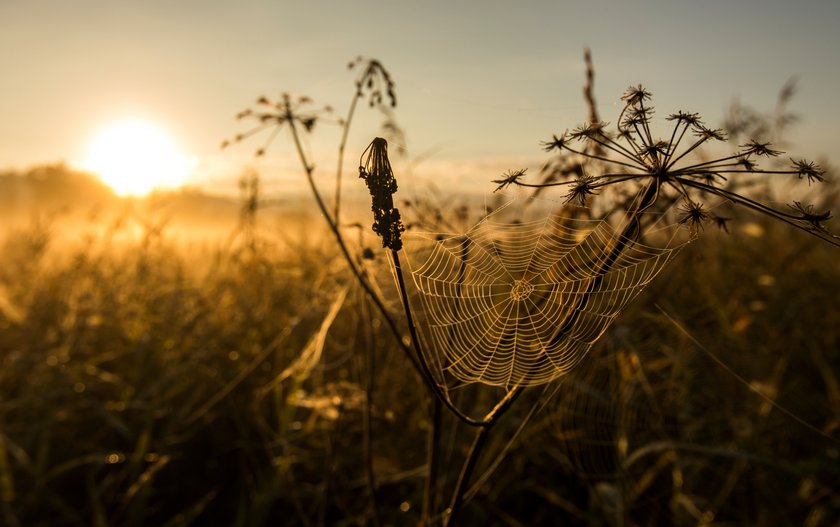 Golden Hour Photography: Essential Tips and Tricks for Capturing Stunning Shots | Skylum Blog(16)