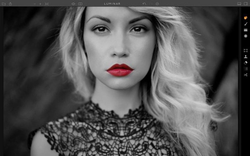 Inspiration: Beautiful Color Splash Photos Image1