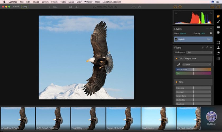 The match made in Heaven: eagle photography & Luminar Image2