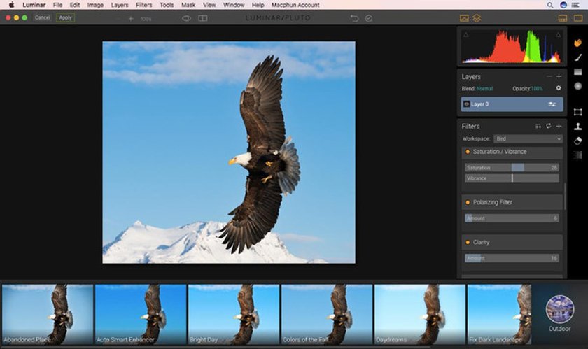 The match made in Heaven: eagle photography & Luminar Image3