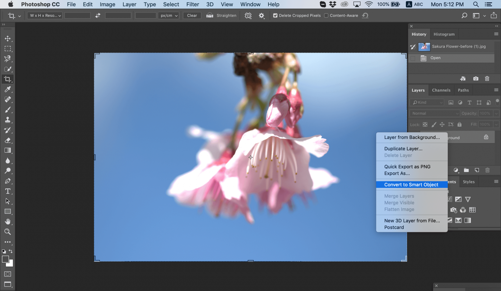 How to Sharpen an Image in Photoshop Image3