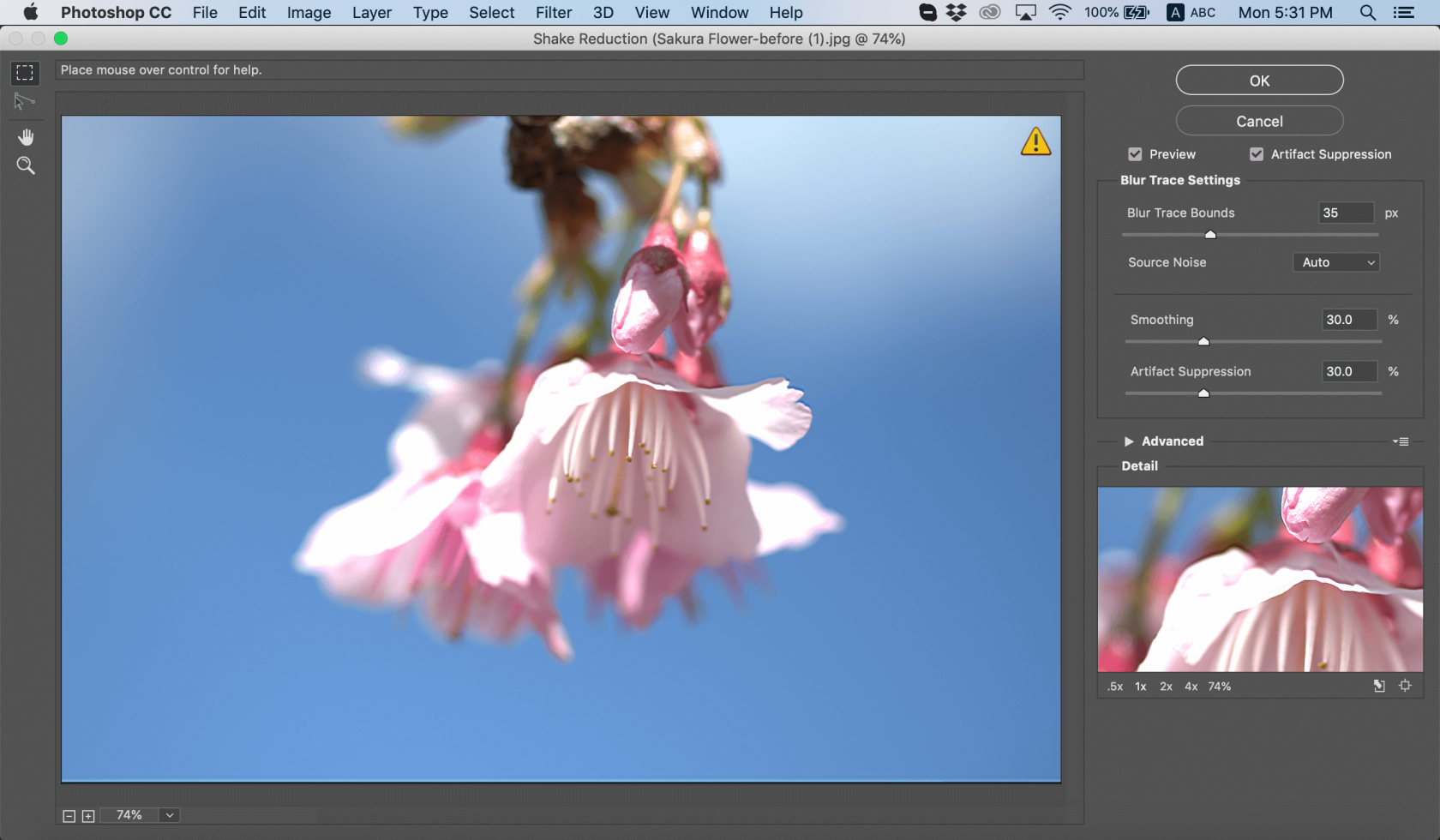 How to Sharpen an Image in Photoshop Image11