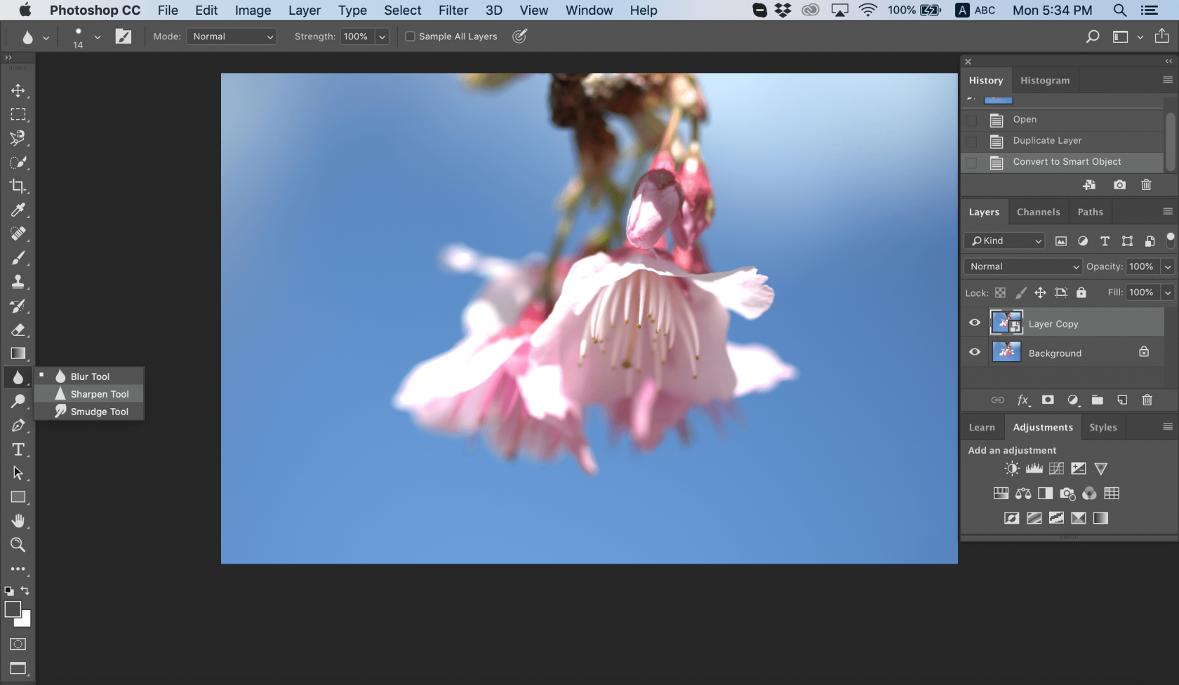 How to Sharpen an Image in Photoshop Image10