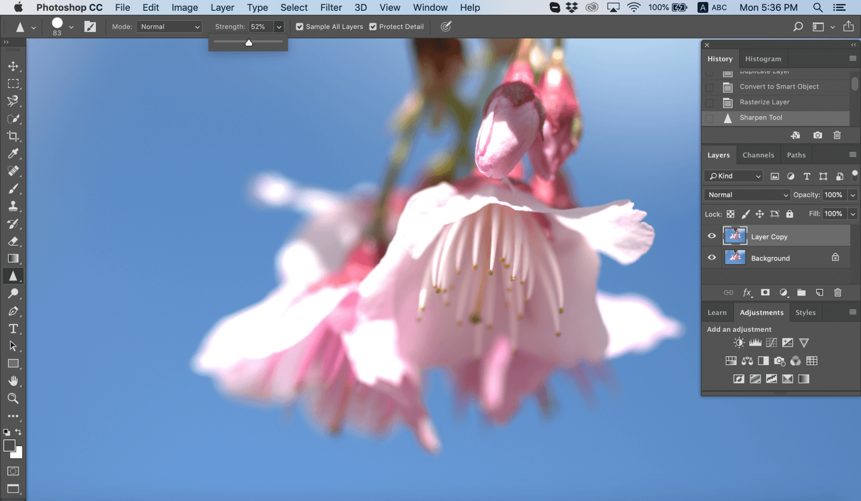 How to Sharpen an Image in Photoshop Image11