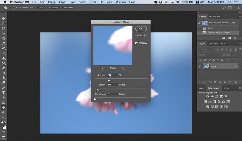 How to Sharpen an Image in Photoshop With Layers panel | Skylum Blog