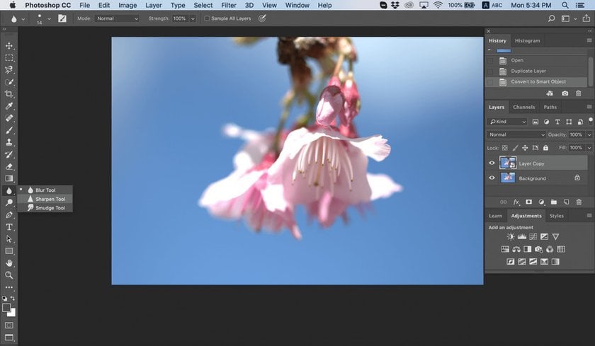 How to Sharpen an Image in Photoshop With High Pass filter (3) | Skylum Blog