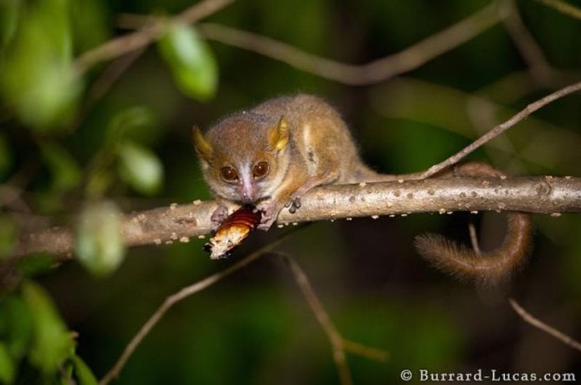 20 Amazing Photos from the Wild Life | Skylum Blog(18)