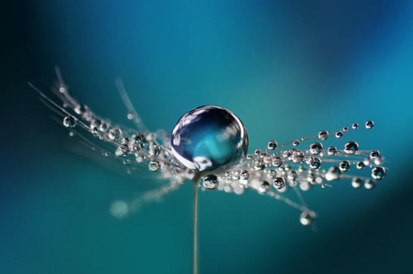 5 Tips for Water Droplet Photography | Skylum Blog