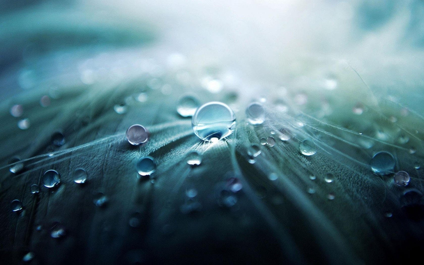 5 Tips for Water Droplet Photography Image3