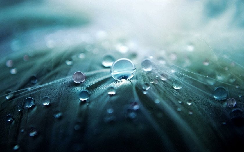 Water Drop Photography: from Idea to Results in Five Easy Steps | Skylum Blog(4)