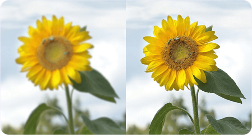 Photos of varying quality | Skylum Blog