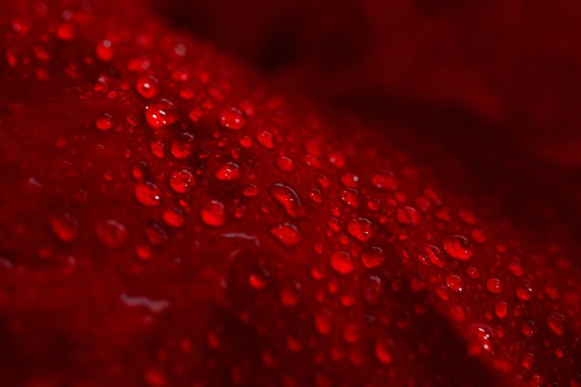 Water Drop Photography: Tips to Photograph Water Drops and Splashes | Skylum Blog(10)