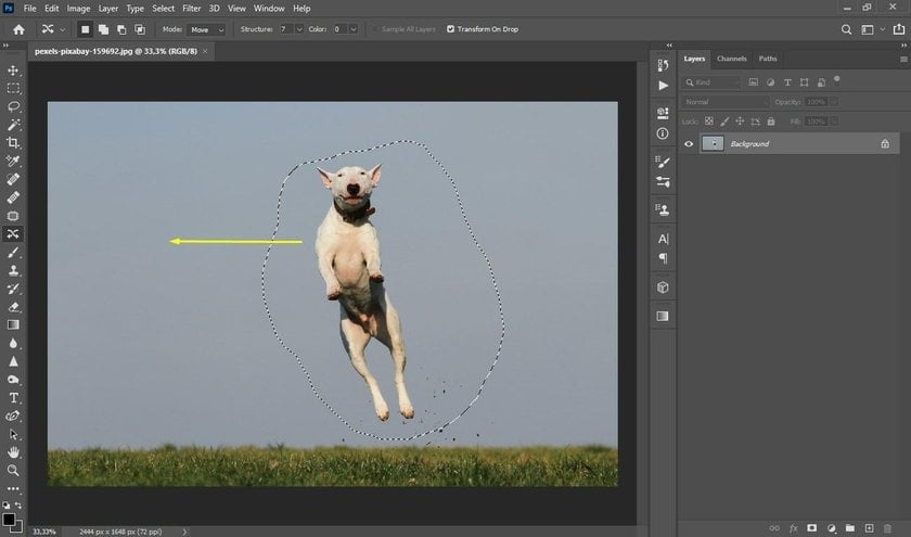 The most complete guide on how to do content aware fill in Photoshop with examples Image13