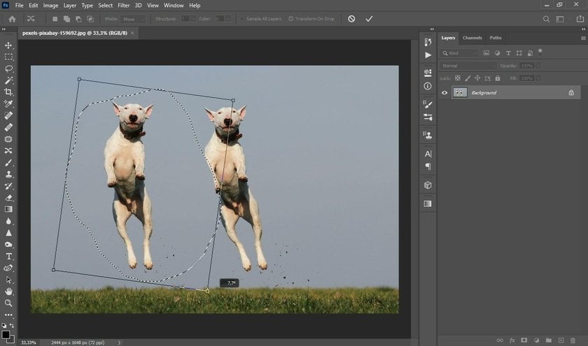 The most complete guide on how to do content aware fill in Photoshop with examples Image14
