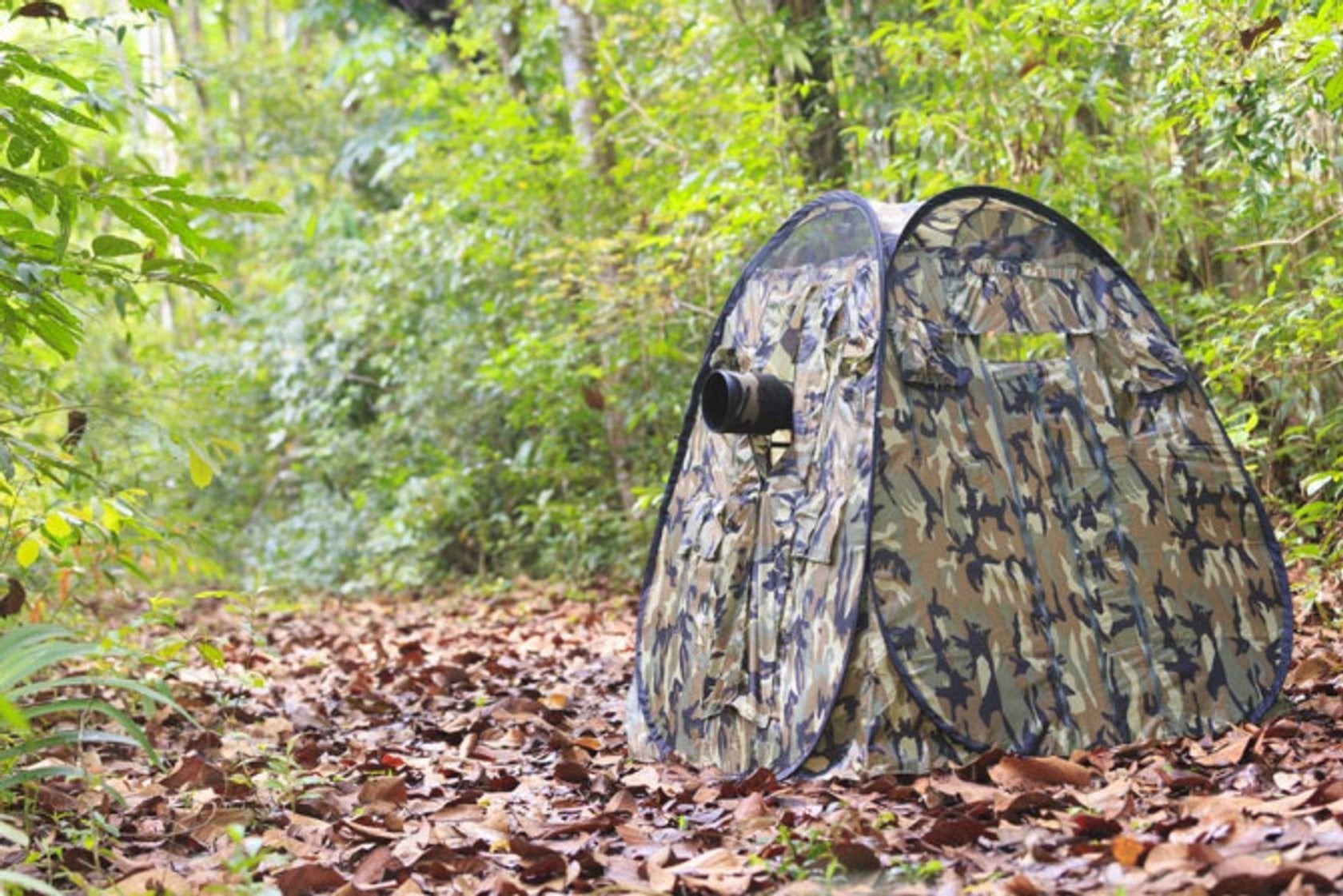 Bird Photography Basics for Beginners Skylum Blog