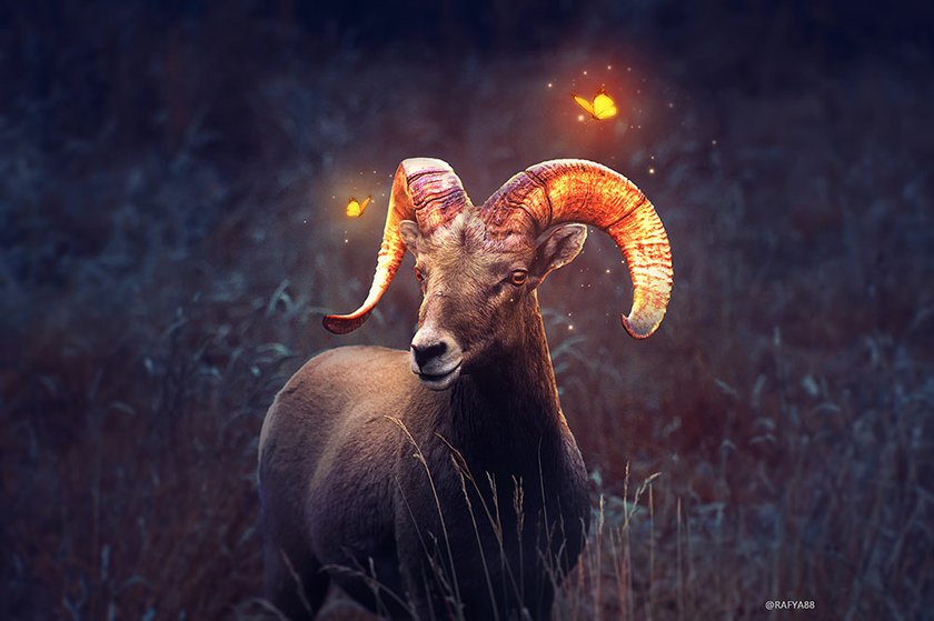 How To Add A Glow Effect To Your Image In Photoshop Skylum How To How To Add A Glow Effect To Your Image In Photoshop Skylum How To