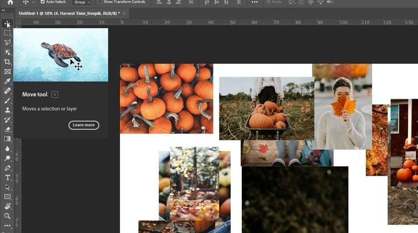 How to Make a Collage in Photoshop Easily  Image6