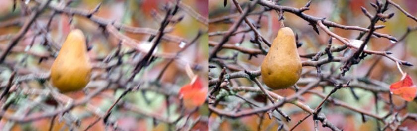 Qu'est-ce que la stabilisation optique d'image et quand l'utiliser Image1