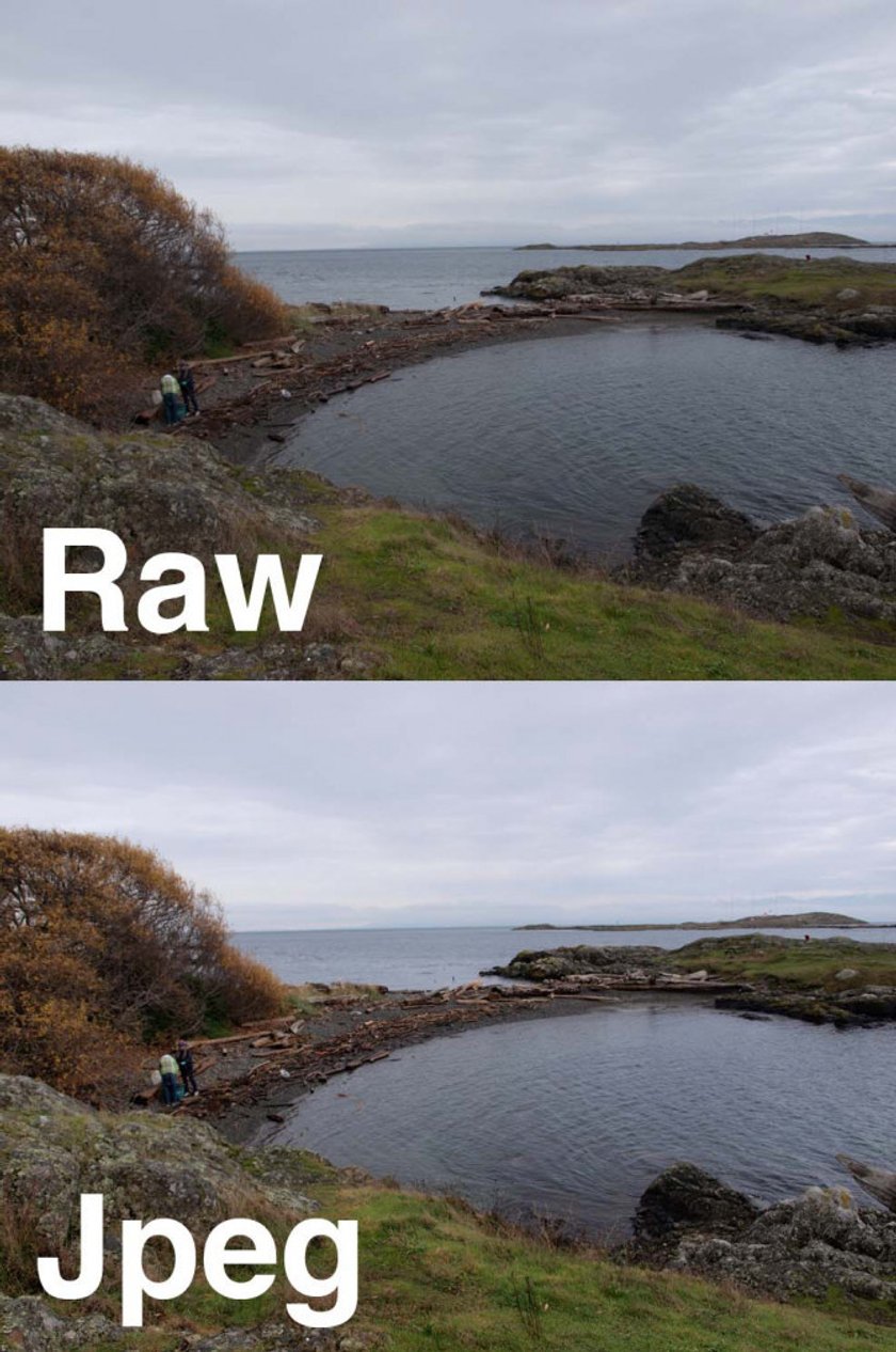 Raw vs Jpeg | Skylum Blog(2)